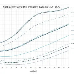 Siatka centylowa BMI dla chłopców. Wiek 10 lat: prawidłowy wzrost to ok. 19-22 BMI, zależnie od centyla.