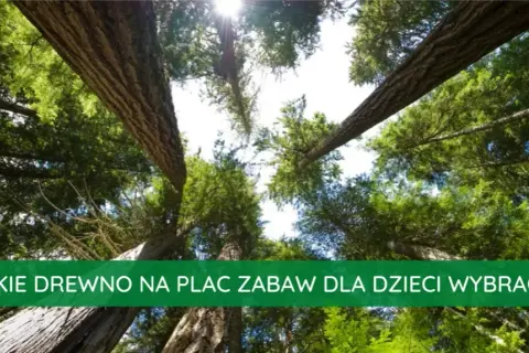 Jakie drewno na plac zabaw wybrać, aby zapewnić bezpieczeństwo?
