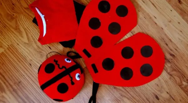 Jak zrobić strój biedronki - proste kroki i materiały do DIY