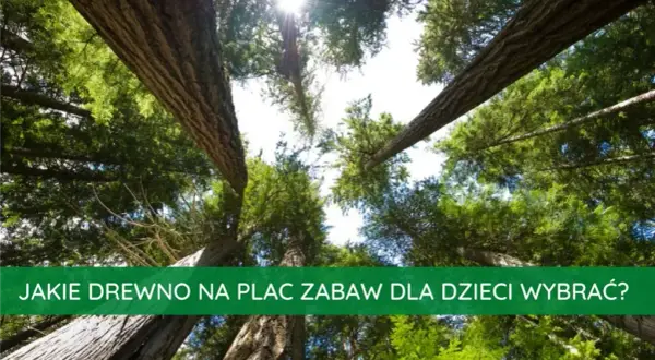Jakie drewno na plac zabaw wybrać, aby zapewnić bezpieczeństwo?