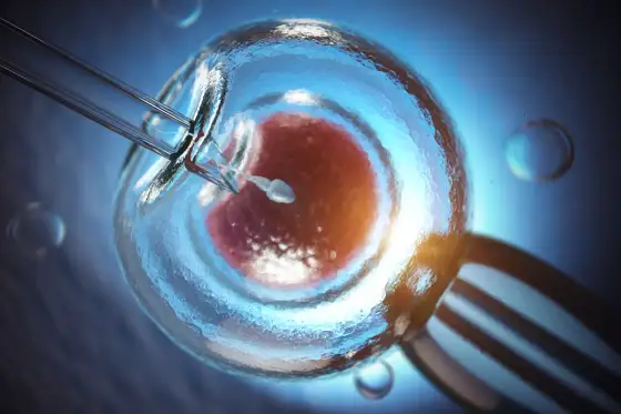 In vitro w wieku 47 lat: szanse, koszty i procedury w Polsce